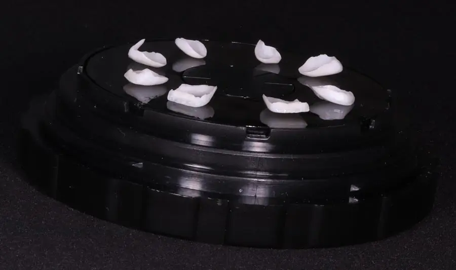 Vogue Dental - Porcelain Veneers Lumineers